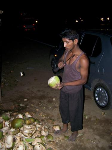A Fresh Coconut (bangalore_100_1846.jpg) wird geladen. Eindrucksvolle Fotos von der indischen Halbinsel erwarten Sie.